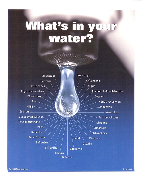 is tap water or bottled water better for you