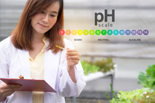 Customer_Service_Obst.2e16d0ba.fill-1200x625.format-jpeg.jpg__PID:7221921c-8eed-4c25-8c96-4ff42026943c