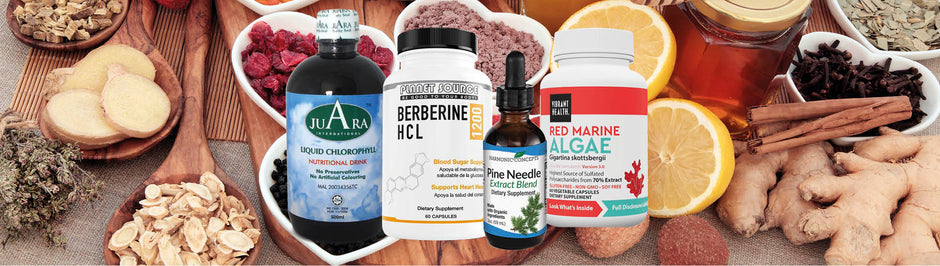 bottles of chlorophyll berberine pine needle extract and red marine algae on background of food